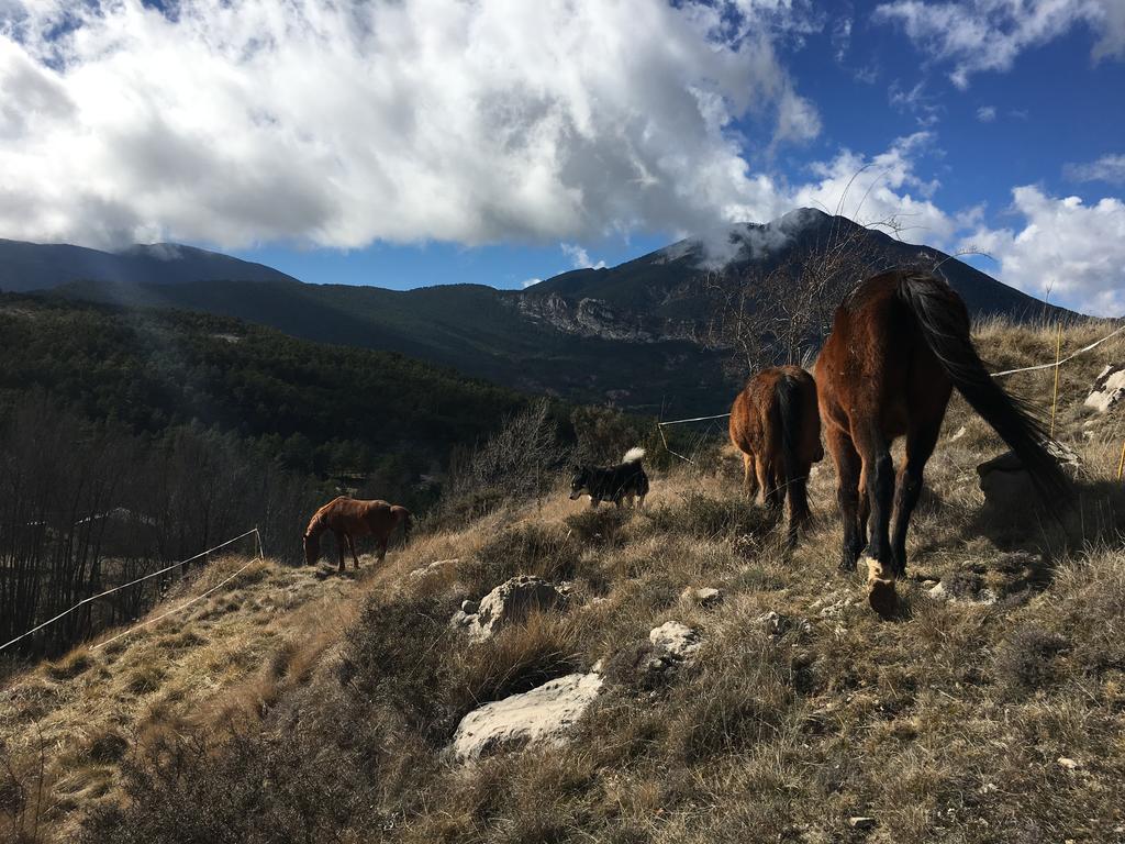El Jou Nature Sant Corneli Eksteriør bilde