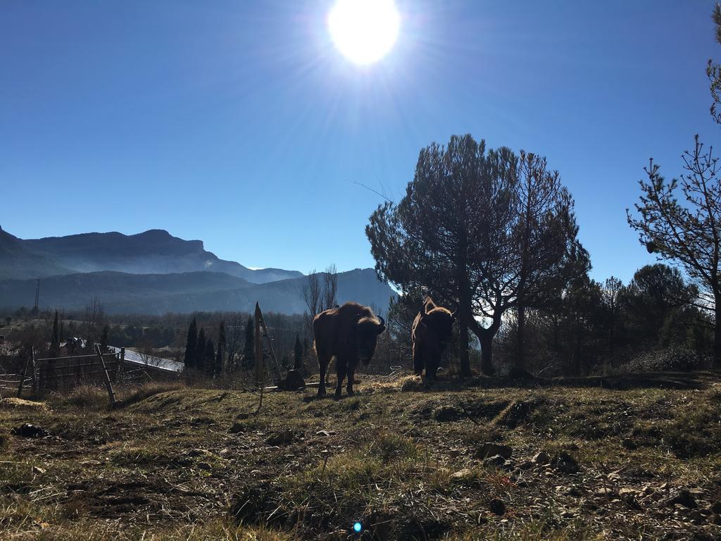 El Jou Nature Sant Corneli Eksteriør bilde