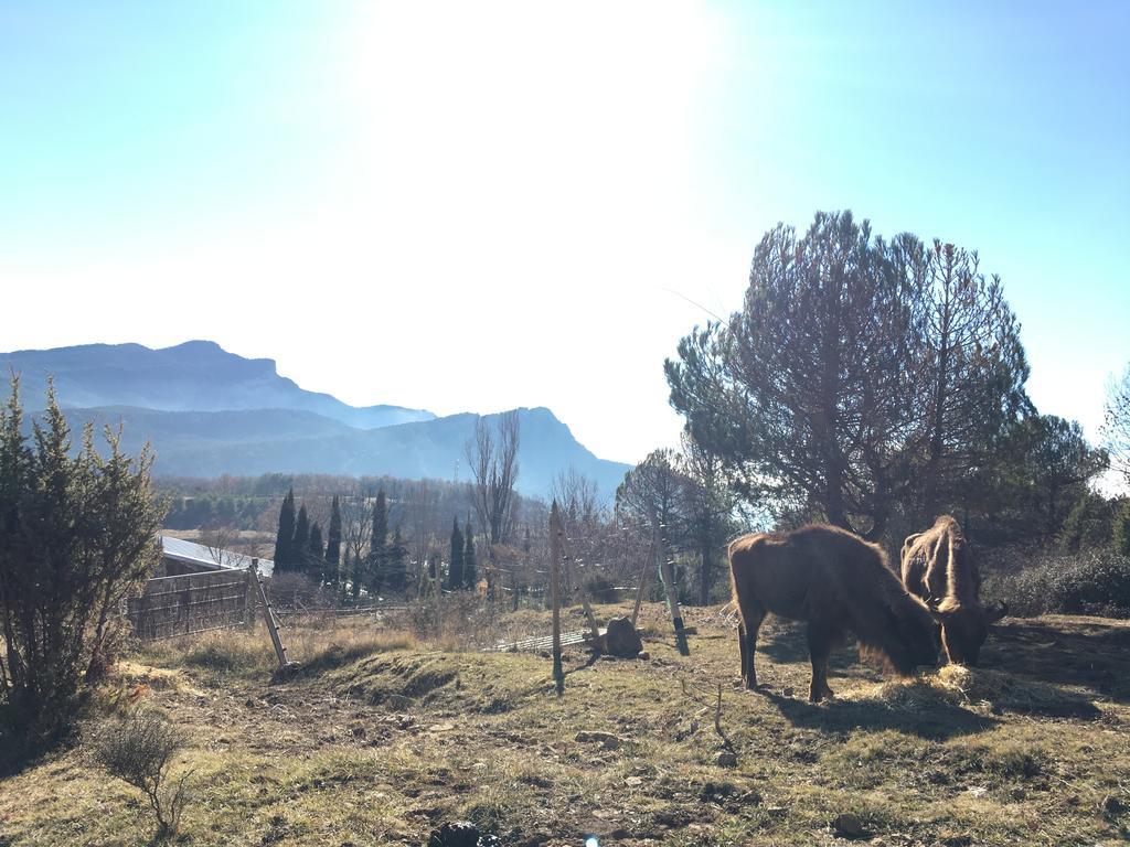 El Jou Nature Sant Corneli Eksteriør bilde